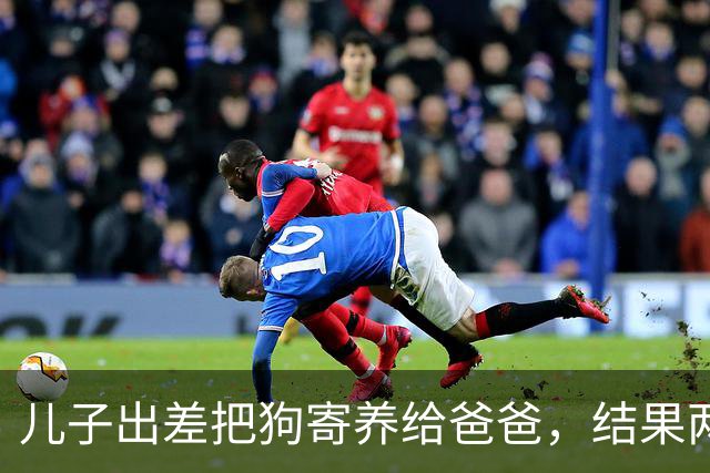 儿子出差把狗寄养给爸爸，结果两天后爸爸天天晒狗，还说……哈哈哈彻底沦陷了！