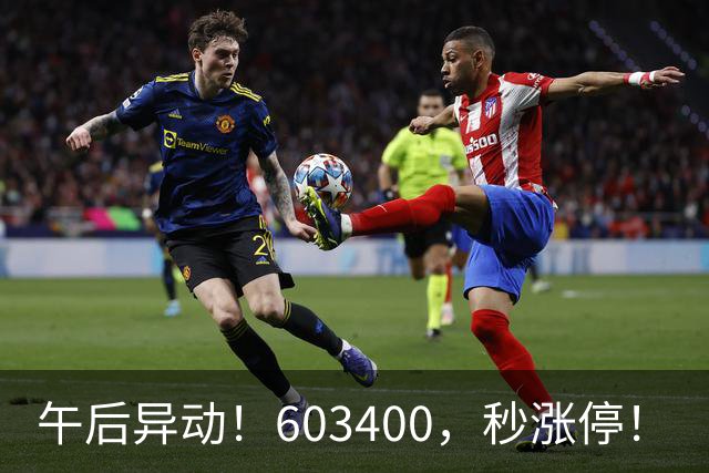 午后异动！603400，秒涨停！