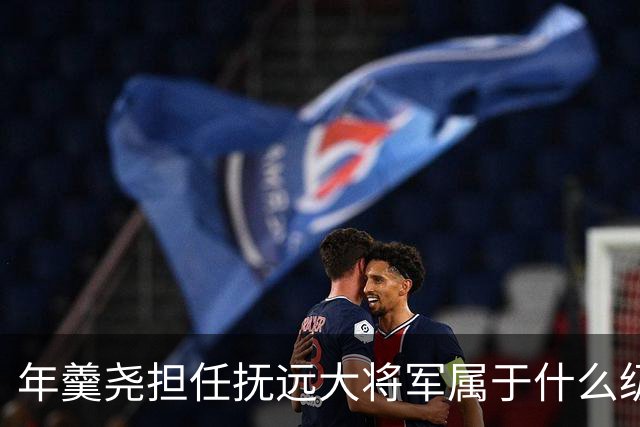 年羹尧担任抚远大将军属于什么级别？与大学士和军机大臣相比如何？