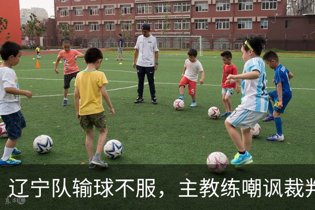 辽宁队输球不服，主教练嘲讽裁判太过分，杨鸣发言引争议